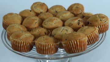 Chocolate Chip Muffins
